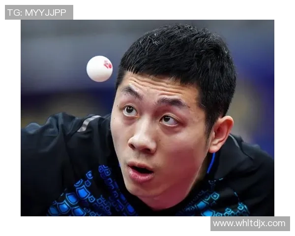 上海羽毛球队在总决赛积分榜中以64分稳居第一名展现强劲实力